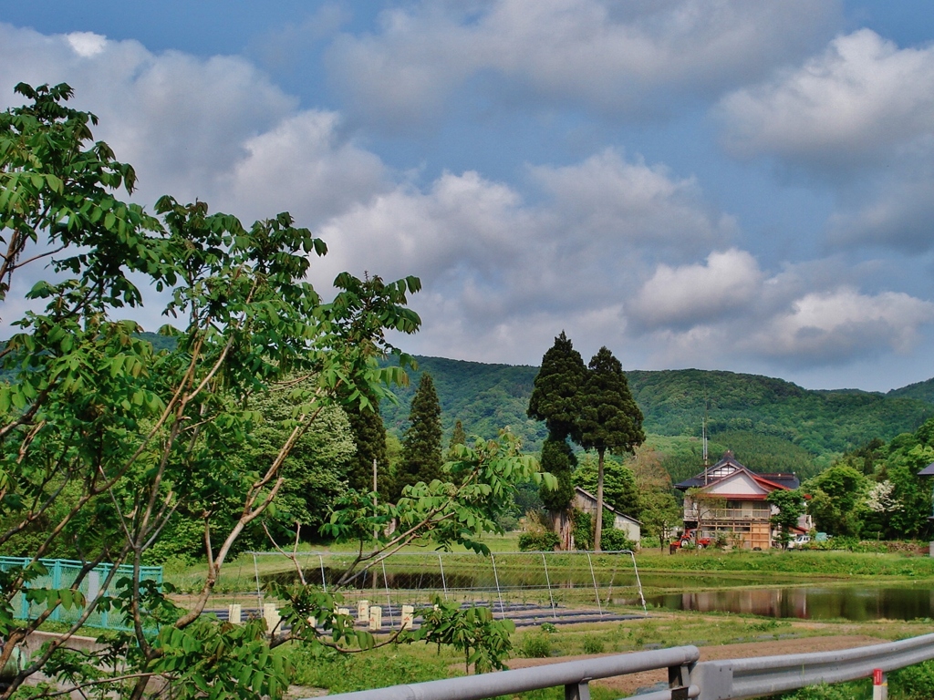 第二千百七十三作　「たがいに青年だつた　あのころの青葉も」　山形県小国