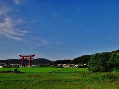 第千四百七十八作　　「とにもかくにも暑さに坐はる　一の鳥居」　岡山県高松