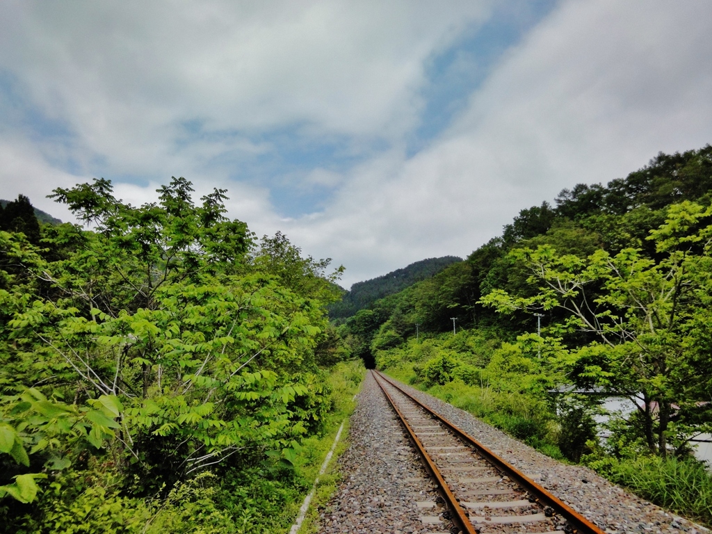 第七百六十三作　　「森へまつすぐと　錆びつく鉄路をゆく」　岩手県大槌