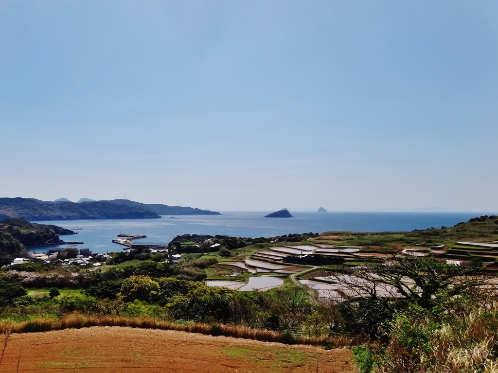 第千三十三作　　「枯田　水田となり　やがて青田」　長崎県大石脇