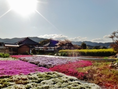 第二千百二作　「いにしへの　都も今や　春と埋もれて」　奈良県明日香