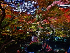 第二千七百五作　「秋の葉が　秋の葉に重なつて　池おもて」　京都府山科