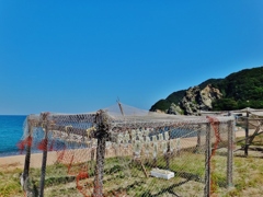 第四千九十二作　「干し烏賊　靡かす程度の　汐風に座はる」　兵庫県浜坂