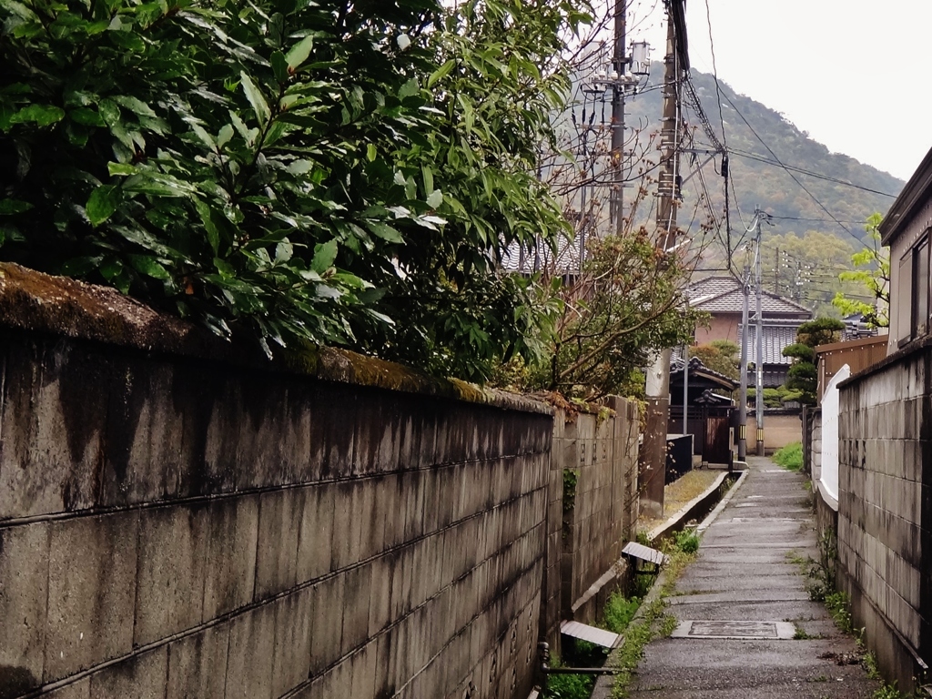 第千三百五十六作　　「迷いこんで　あたたかい　雨降る路地道」　山口県防府
