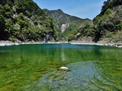 第六百四十作　　「淵の青さへ　投網かぶせる」　静岡県佐久間