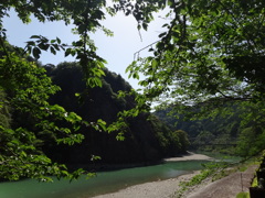 第千四百四十三作　　「木蔭　葉陰に寄らば　大きな岩が」　和歌山県古座川　