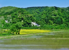  第千四十七作　　「みんな春となつて　野も山も」　宮城県大崎