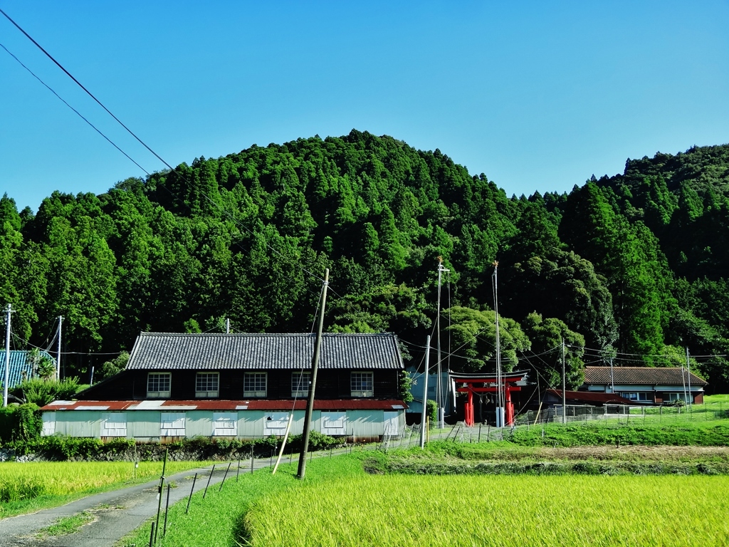 第千五百二作　　「そつと掌を　合はさるさきの　鎮守かな」　千葉県鴨川