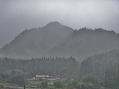 第二千九百六十五作　「降られるままに　山を観てゐる」　静岡県浦川