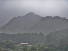 第二千九百六十五作　「降られるままに　山を観てゐる」　静岡県浦川