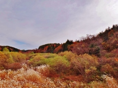 第二千三百十九作　「紅葉ふる　足早に去る」　福島県津島