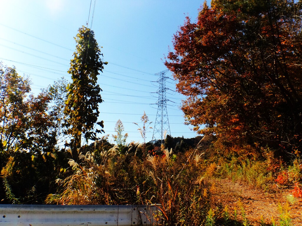第四千百六十八作　「枯れ草を踏み　ふと夏を　思ひ出し」　福島県浪江