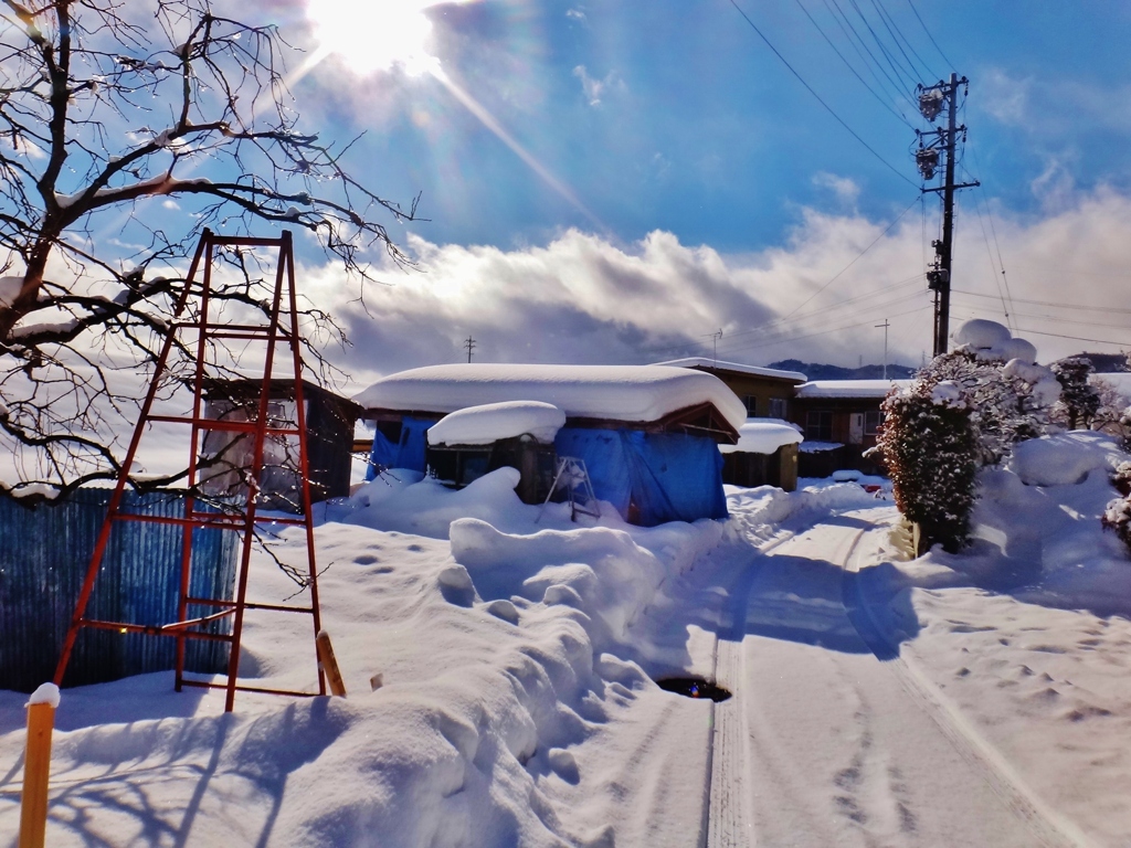 第三千四百八十五作　「まばゆさは　雪晴れの　雪を踏み」　長野県中野