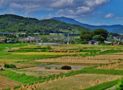 第四千百九作　「稲わらの　干さるる風の　蜻蛉かな」　長野県中野