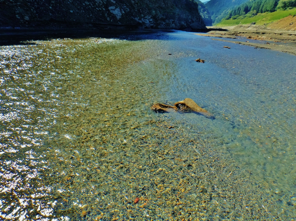 第三千三百作　「小石流るる　夏川を踏む」　埼玉県秩父