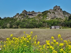 第千三百七十作　　「わが身いつぱいに　陽をいただく」　大分県中津