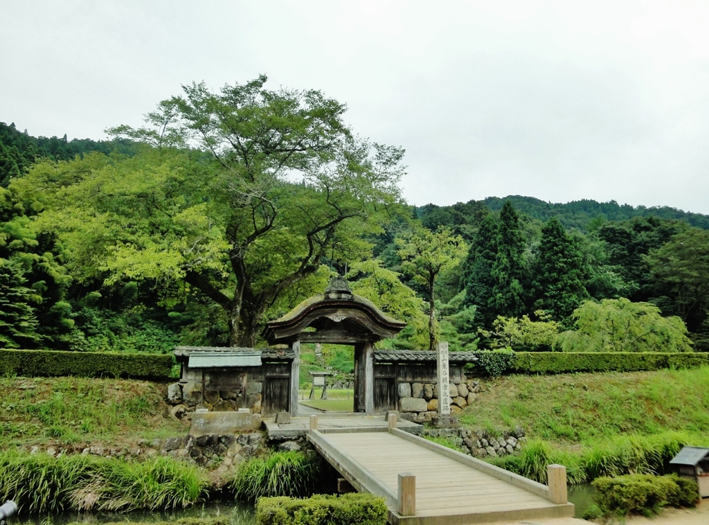 第七百五十八作　　「これもまた　兵どもが夢の跡かと　蛇が横ぎる」　福井県一乗谷　
