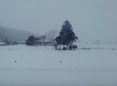 第千六百七十五作　「あと一年いてくれたならと　想へば切りない雪つのる」岩手県遠野