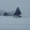 第千六百七十五作　「あと一年いてくれたならと　想へば切りない雪つのる」岩手県遠野