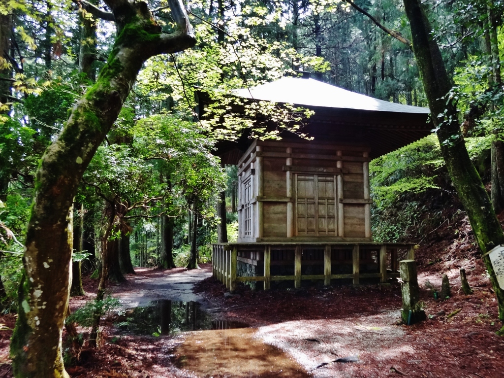 第千三十五作　　「春の陽に座しております　御堂ひつそり」　奈良県吉野