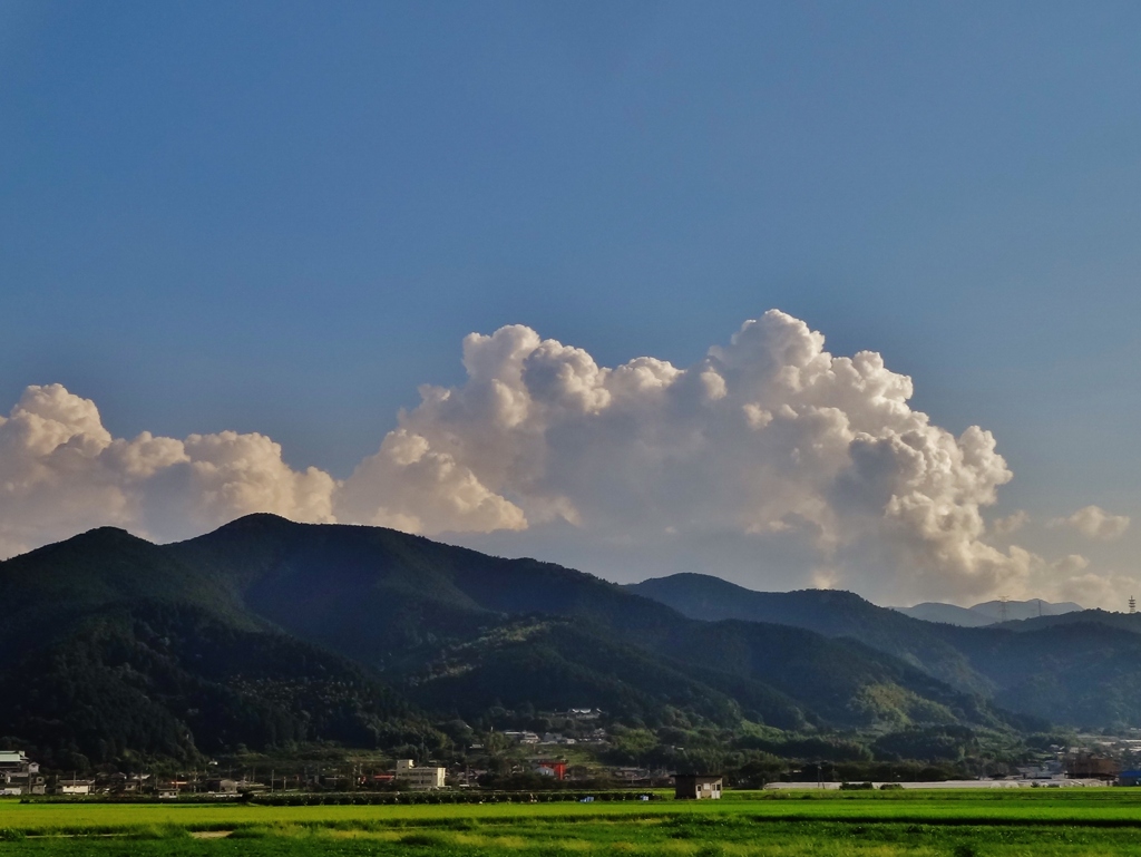 第三千三百二十八作　「夕立が　きさうでこない　あの雲見あげ」　愛媛県西条