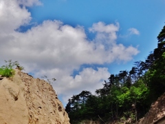 第三千六百八十七作　「ぼうやり　過ぎゆく　夏を見詰む」　福島県浪江