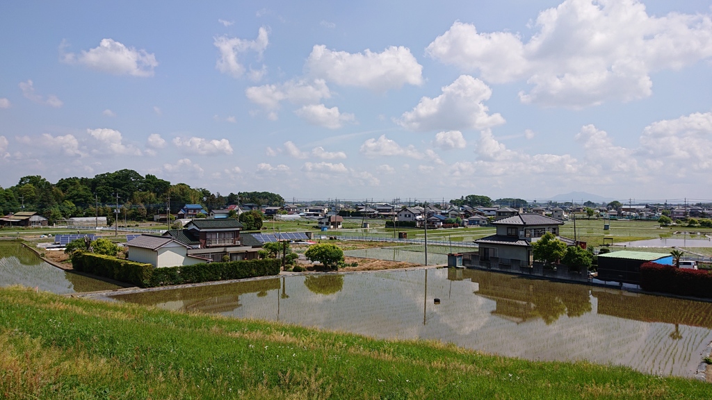 第千七百八十一作　　「早乙女を　さがすでもない　雲映す田面」　千葉県野田