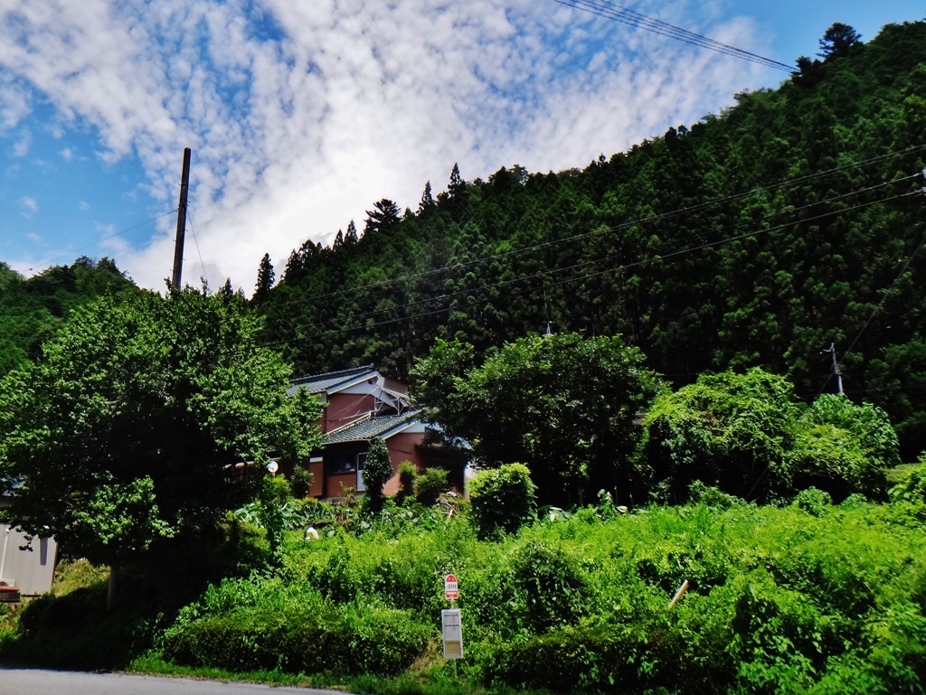 第三千六百七十作　「すつかり夏空の　バスを待ち」　愛知県東栄