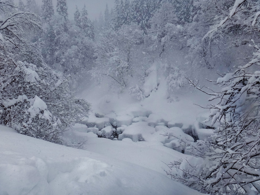 第四千二百十八作　「積もれる雪に　まだ降り積もるかよ」　福井県和泉