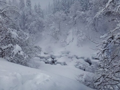 第四千二百十八作　「積もれる雪に　まだ降り積もるかよ」　福井県和泉
