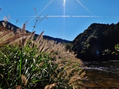 第八百五十六作　　「寂しい風が　吹き撫でて　草の実」　静岡県浦川