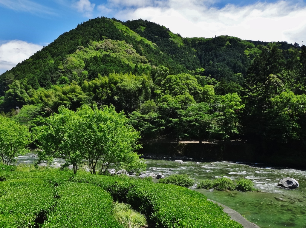 第千三百九十一作　　「伊予から土佐へ　青い青い山」　高知県池川