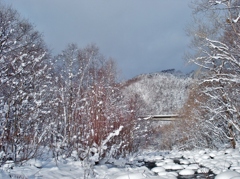 第千九百九十八作　　「晴れてうれしい　雪のまぶしさ」　北海道定山渓