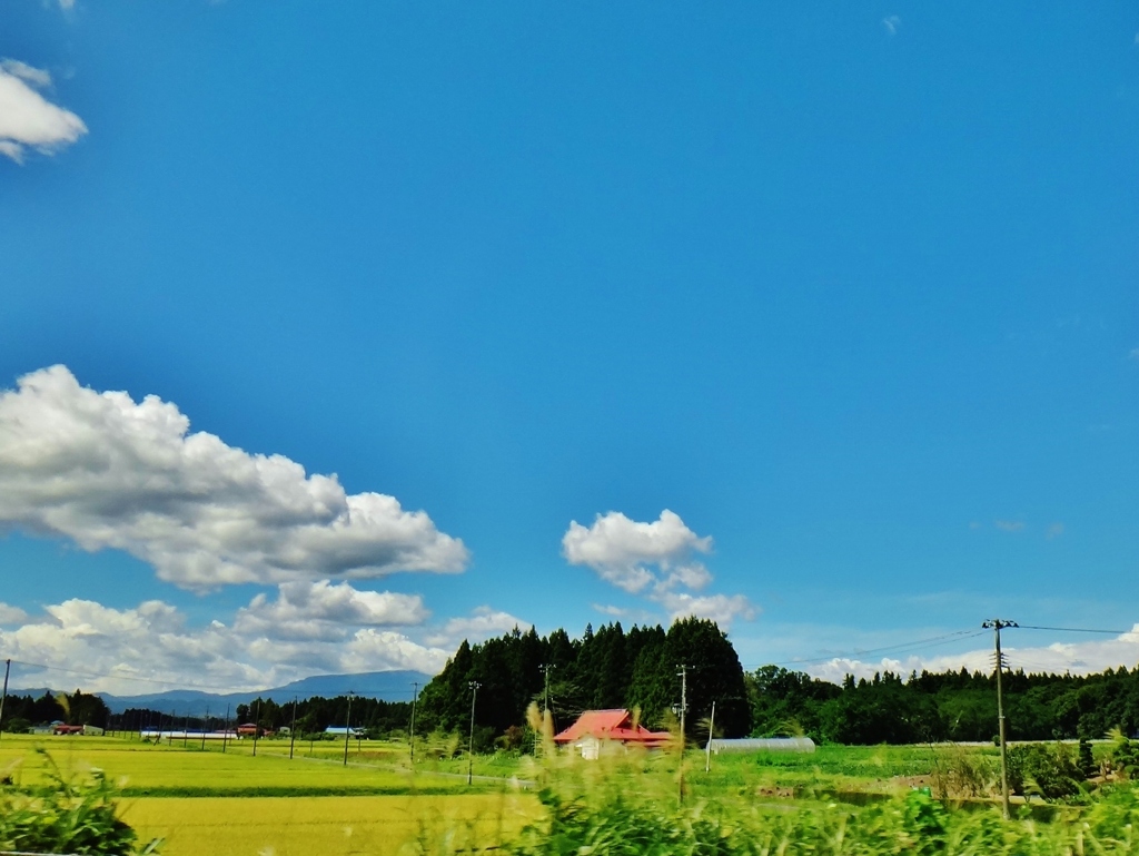 第三千三百五十一作　「田のかほる　だいぶ　芳ばしい」　岩手県一関