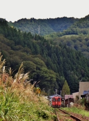 第千五百六十八作　　「汽車は　山辺へ　秋すすき」　福井県和泉