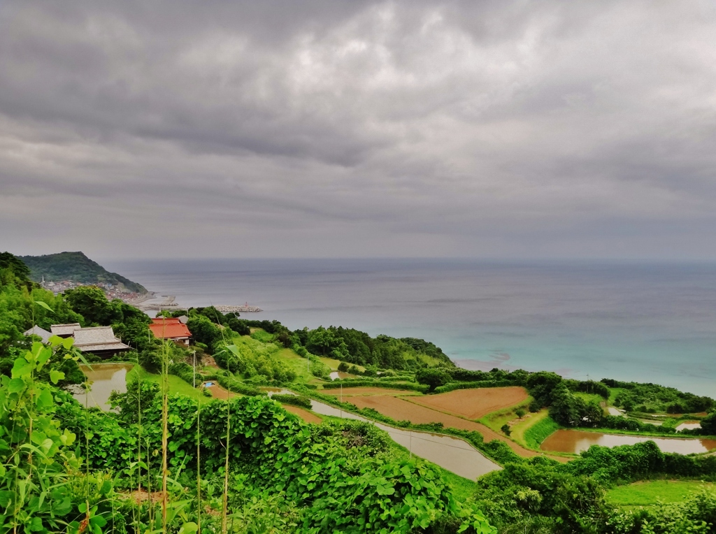 第三千六百三十三作　「今にも降りさうな　田も海も」　山口県油谷
