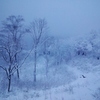 第五百八十六作　　「しきりに積もる　雪また雪の　雪見酒」　秋田県湯沢　