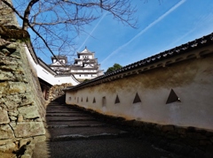 第二千四十三作　　「たまさか立ち寄りて　白鷺の城まともに」　兵庫県姫路