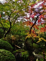 第三千四十九作　「鹿威し　やけに響きて　木の葉ふる」　島根県安来　