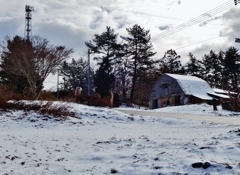 第四千二百三十二作　「風雪が　心なしか　温い」　青森県横浜　