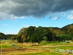 第四千百五十八作　「病んて休めば　村の鎮守の　ふところで」　広島県三原