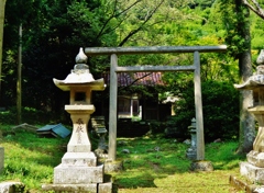 第三千三百七十四作　「荒れ社　荒れてあたたかな　秋の陽差しで」　島根県大田