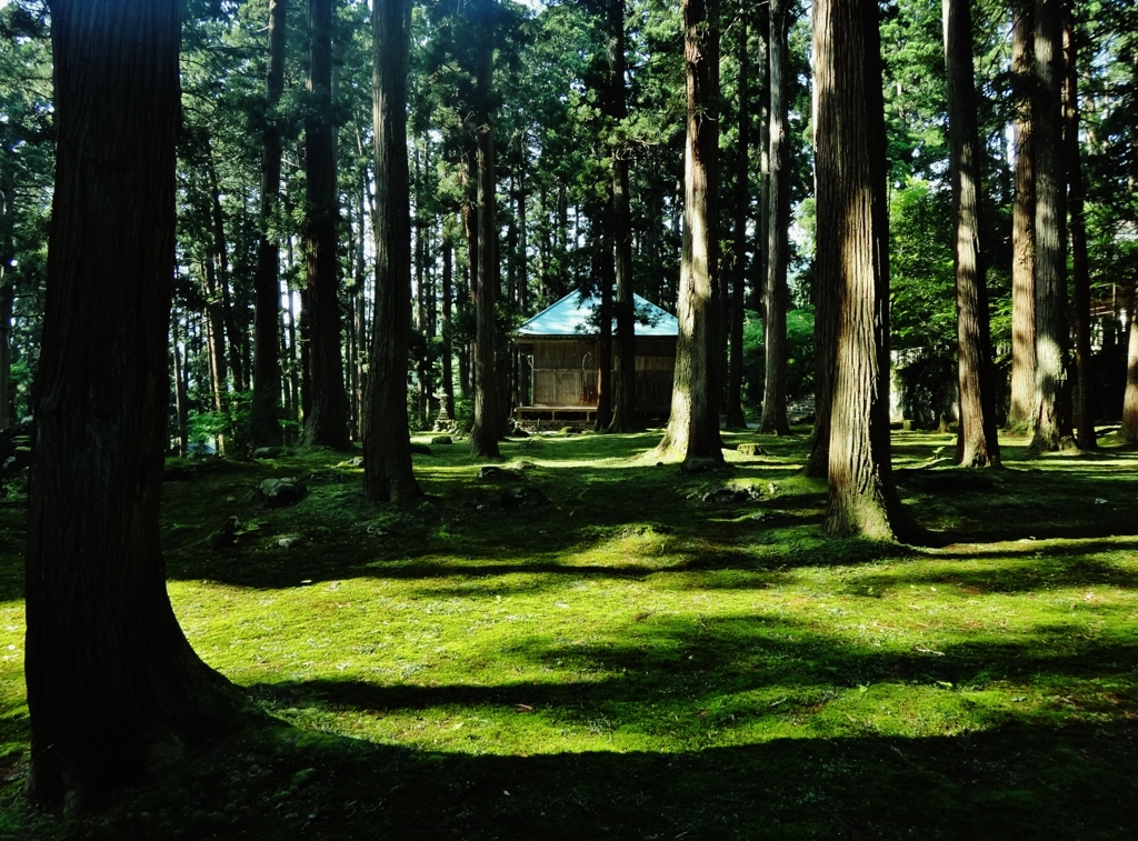 第七百五十一作　　「風のやうに　光りのやうに　苔の清廉」　福井県勝山　