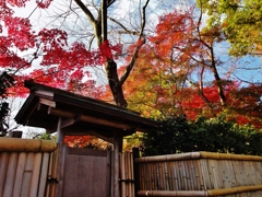 第九百三作　　「開きかけた戸を閉める　紅葉舞い降る」　京都府嵯峨野　