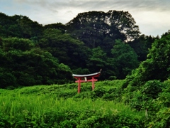 第二千九百八十三作　「山際　寂れたお社が　鳶がきてとまる」　山形県鶴岡