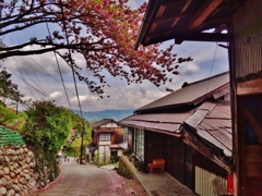 第六百八十作　　「八重がこぼるる　道に屋根にわたしに」　奈良県吉野　