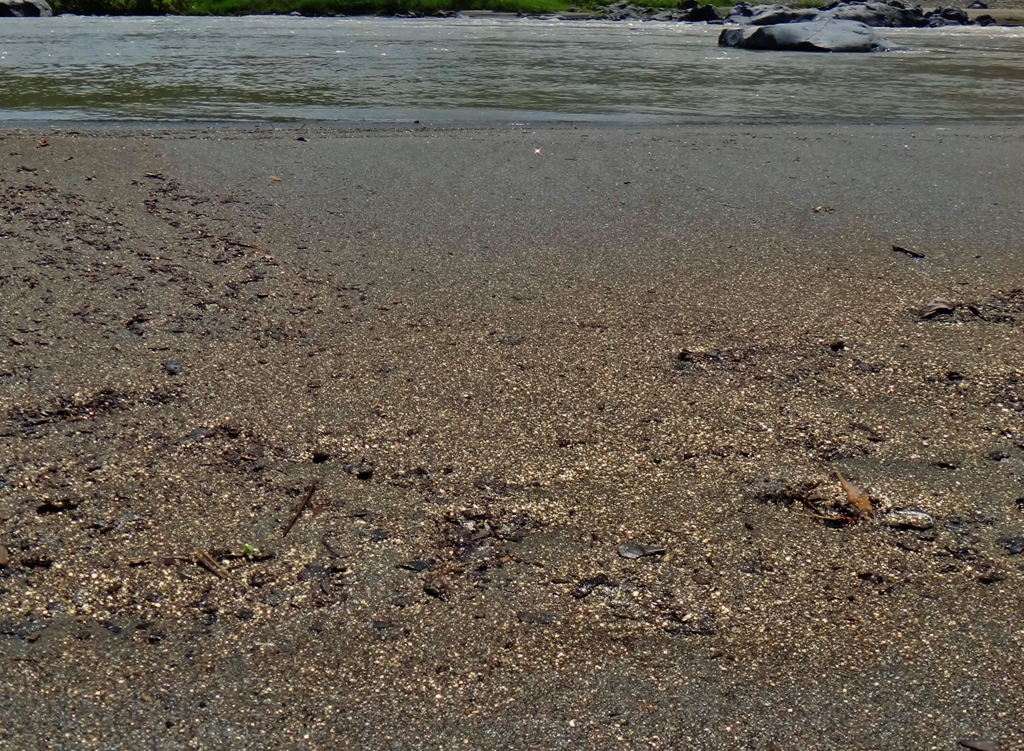 第二千百五十四作　「まばゆさは　打ち寄せられて　砂きらら」　静岡県富士宮