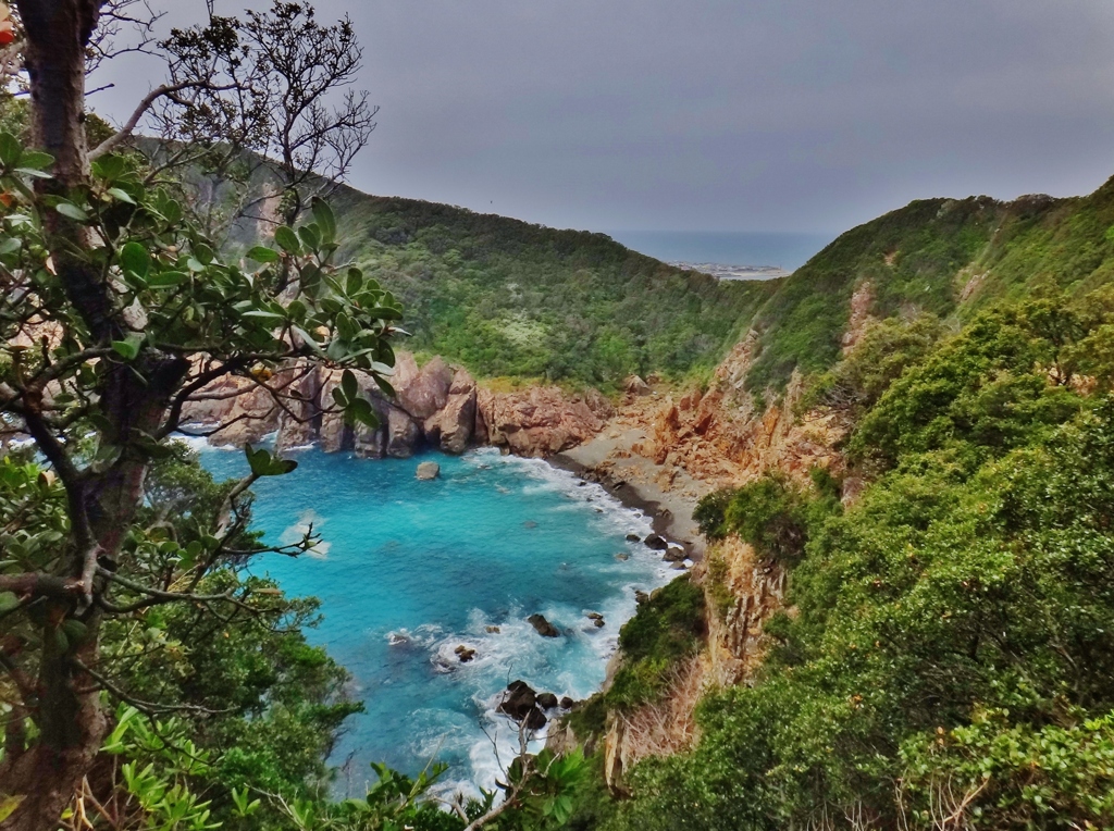 第二千八百四十八作　「駆けのぼつて　崖下の荒波　蒼醒めて」　高知県大月