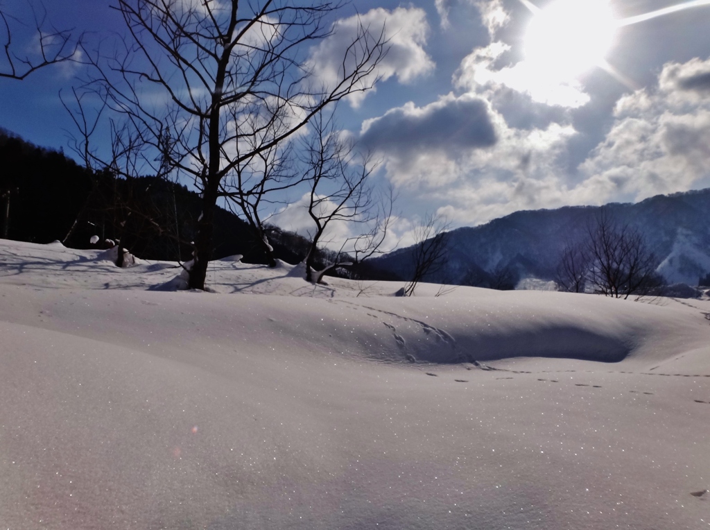 第二千七百八十七作　「雪はまばゆい　鹿の足どりを　追ふ」　福井県和泉