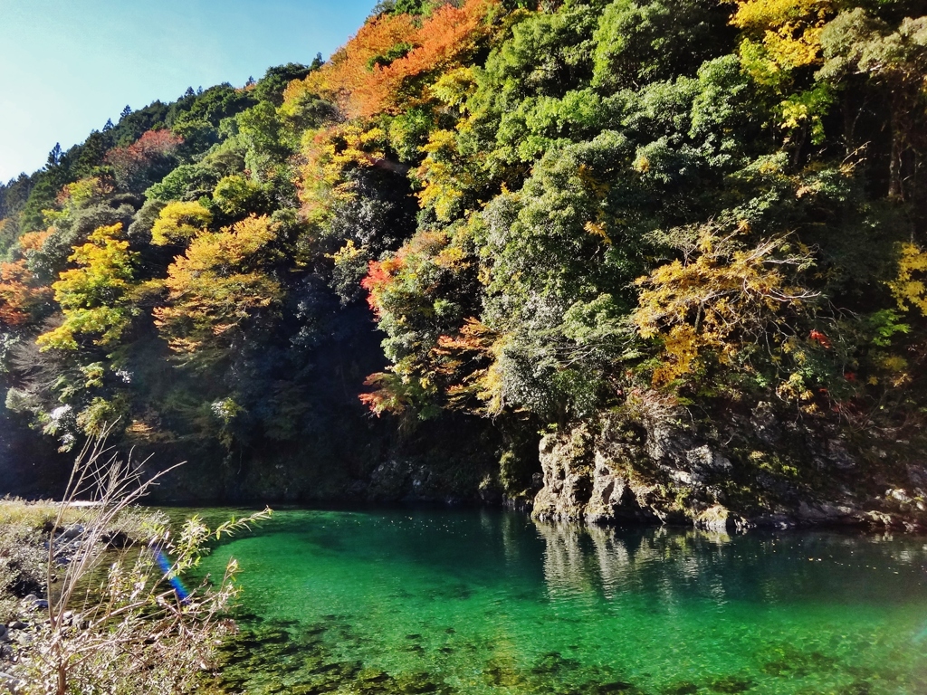 第八百八十二作　　「落ち葉　ひとひらずつ　淵の底へ」　静岡県浦川　